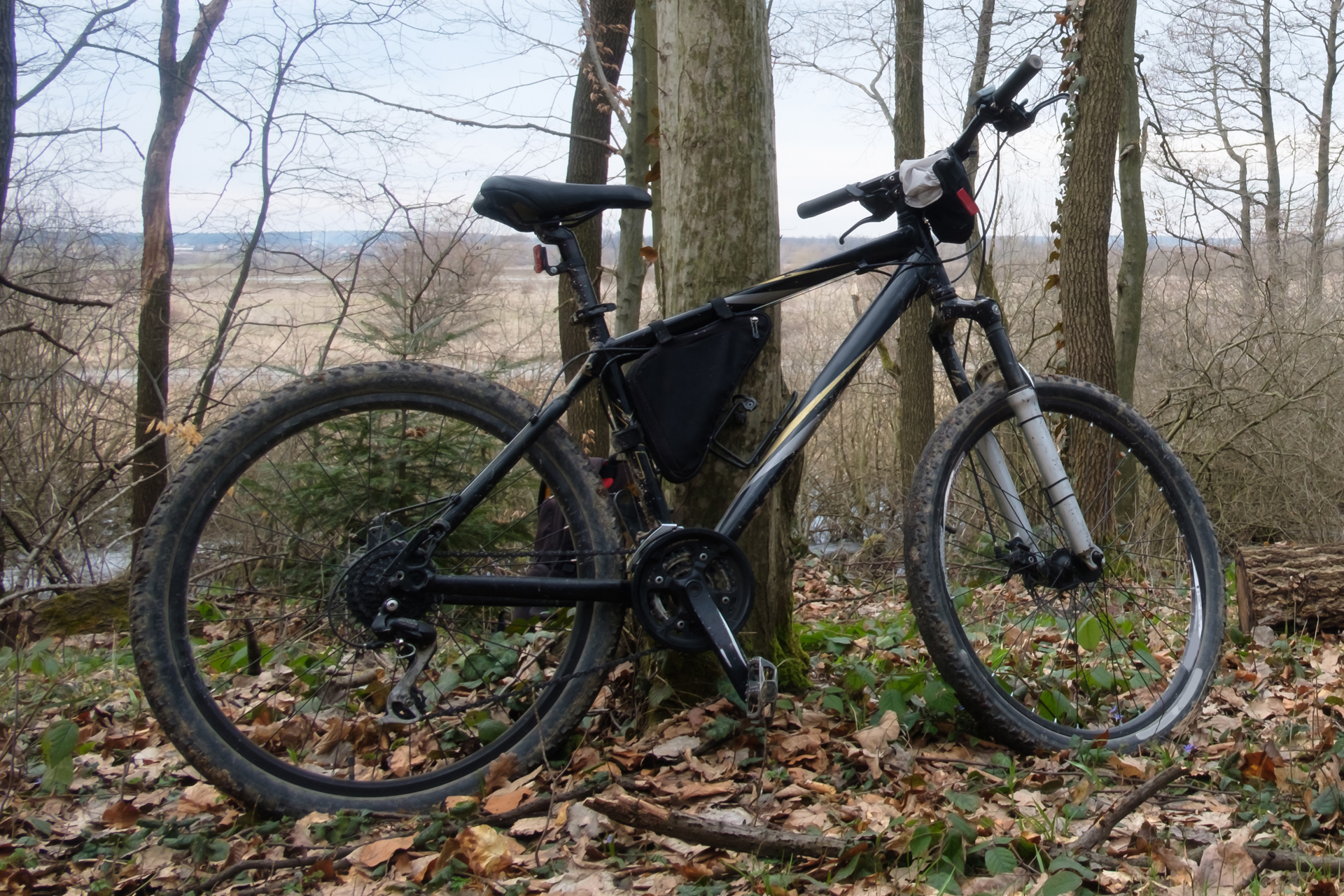 So findest Du dein passendes Bike für jedes Gelände