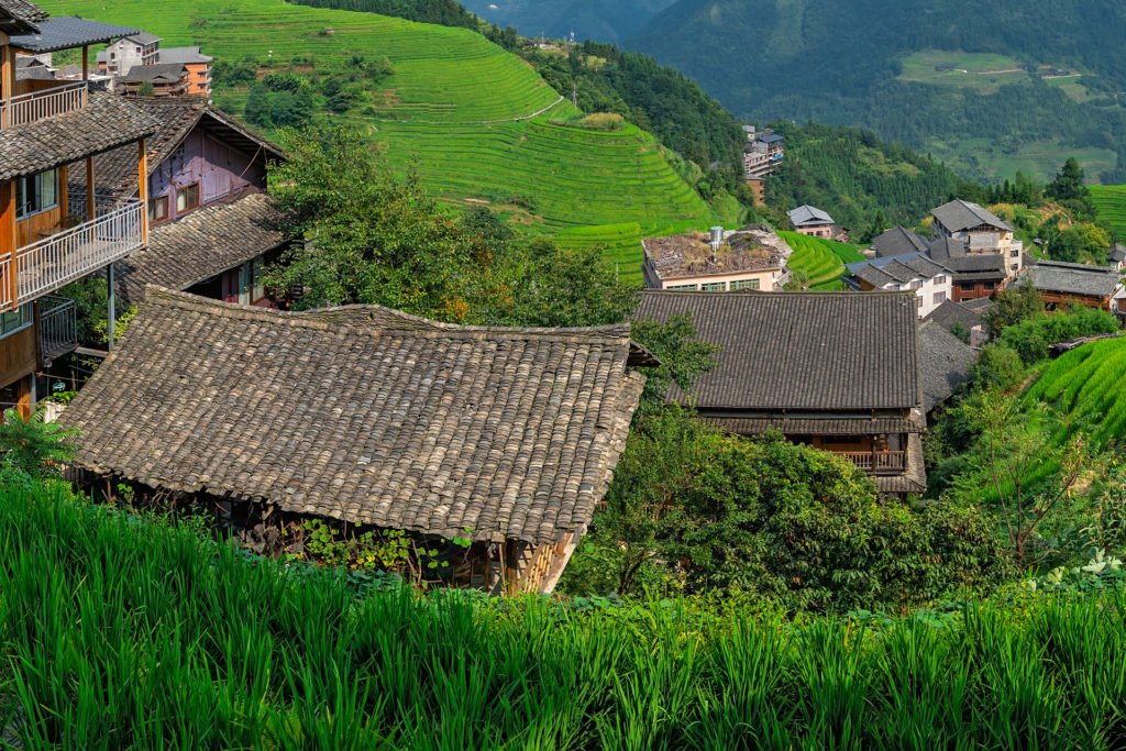 Ein Tag auf der Reisfarm in Indonesien